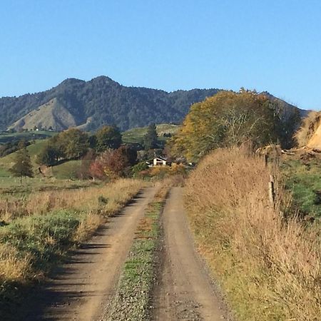 Waiotahi Waiotahe Dairy Farm Hideout 빌라 외부 사진